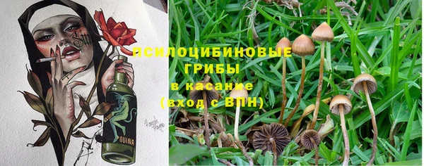 альфа пвп Богородск