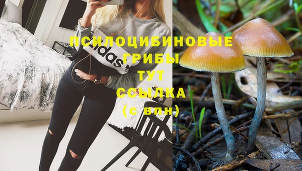 альфа пвп Богородск