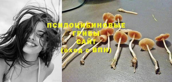 трава Богданович